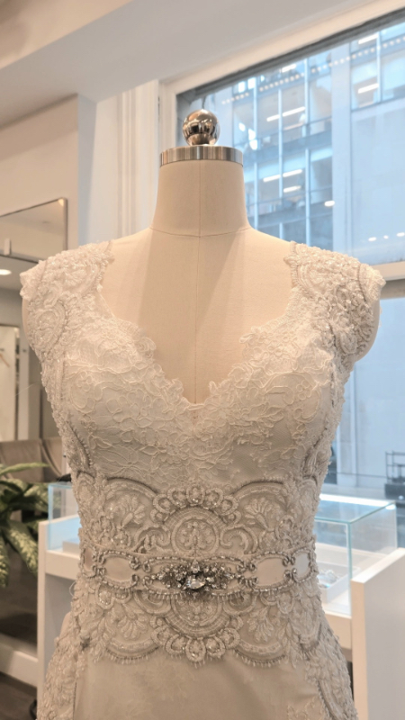 Lusan Mandongus AY2897B Wedding Dress Sample Sale - Fit and flare silver style dress with thread embroidery on silk chiffon and a stunning V-neck front and back. CloseUp