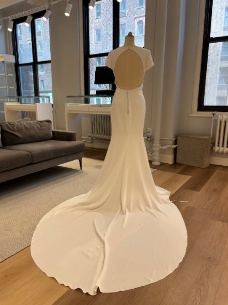 Valeria Wedding Dress - Wedding Atelier NYC Pronovias Atelier