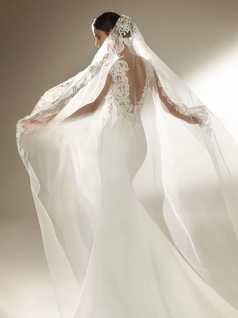 https://weddingatelier.com/wp-content/uploads/2022/07/Pronovias-Swanson-Back-Image-w-veil.webp